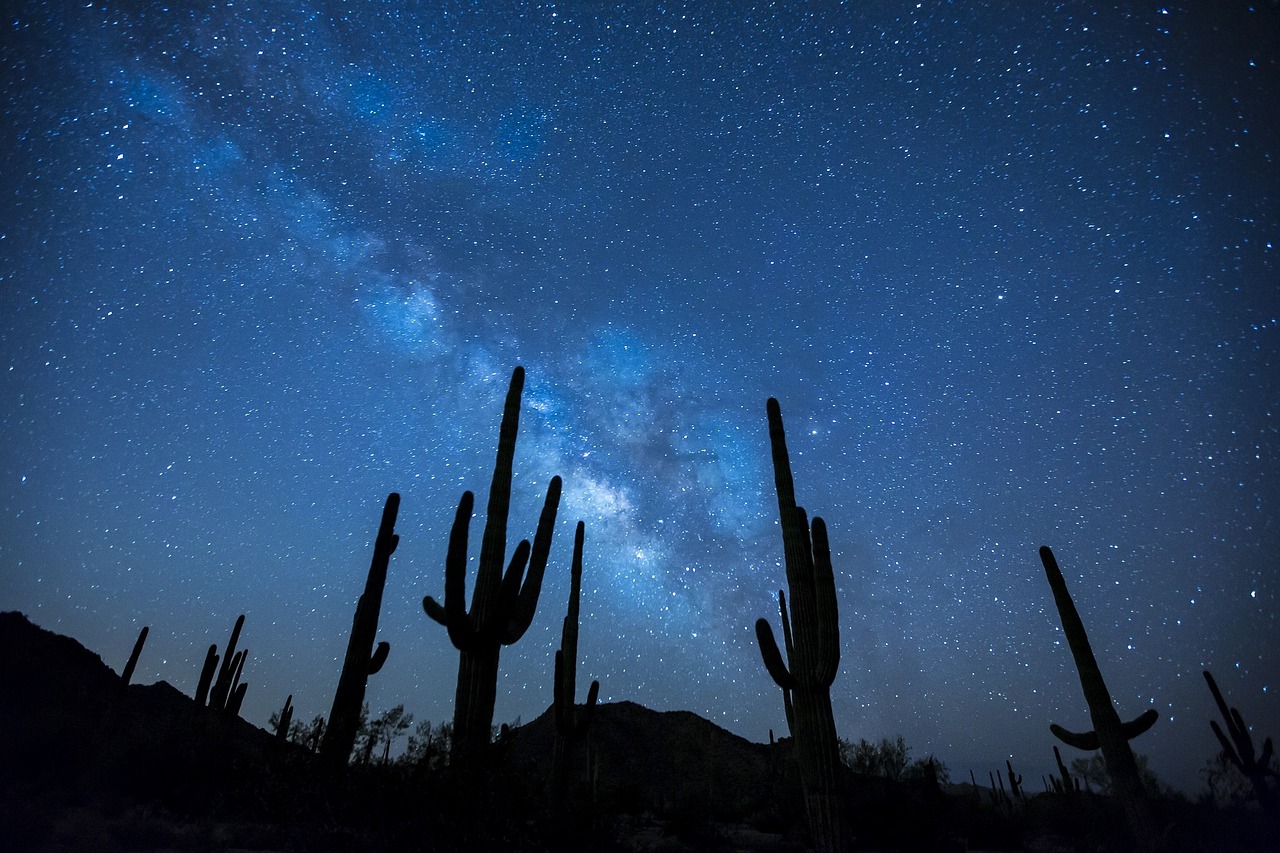 Sky and milky way seen from the desert