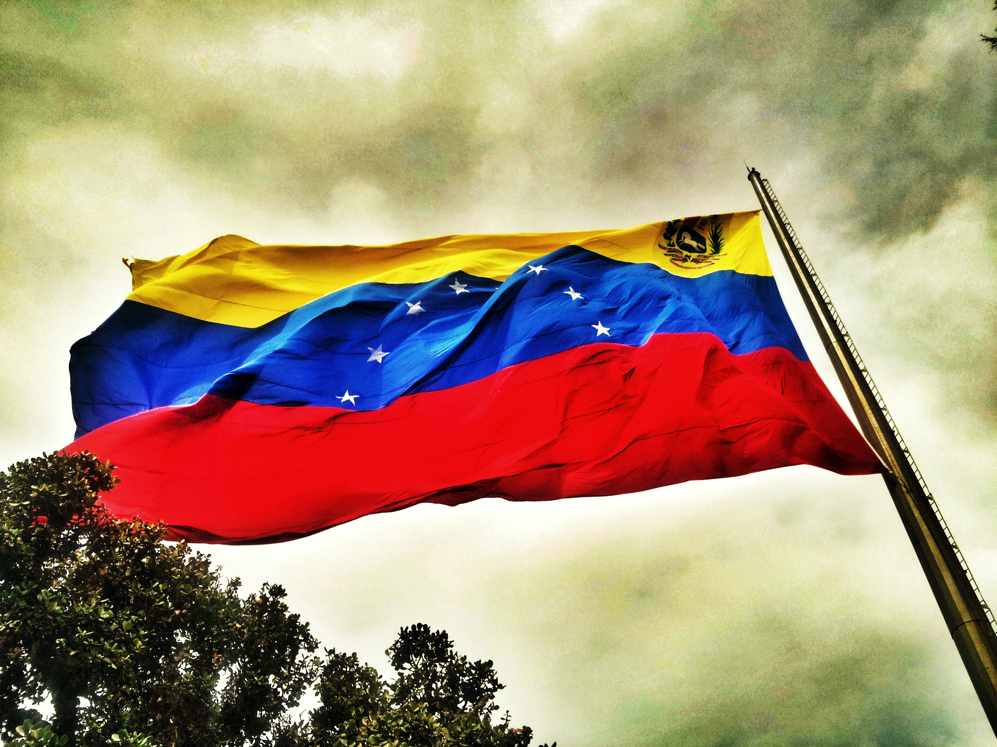 Venezuela Flag, wikipedia commons