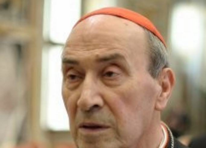 Cardinal De Paolis © Vatican.Va
