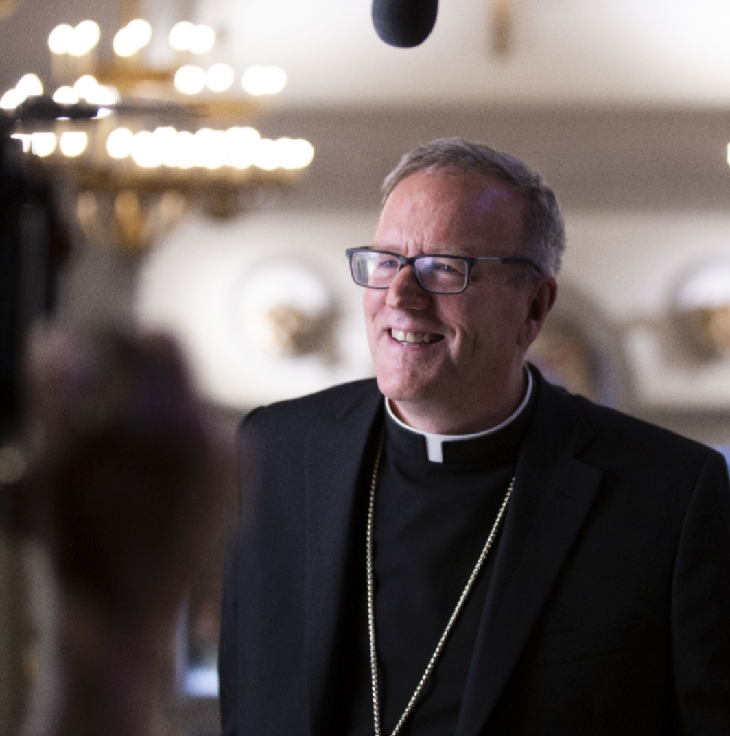 USA: Bishop Barron responds to LGBT bill passed by Senate