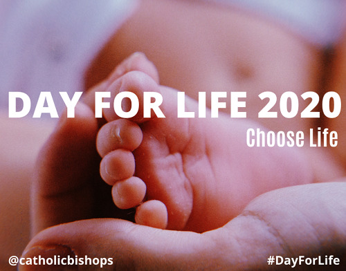 Church in Ireland to Mark ‘Day for Life’ on Sunday, Oct. 4