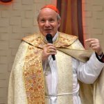Cardinal Schönborn Adds His Voice to the Criticisms against the German Synodal Way: “It’s An Instrumentalization of Abuse”