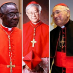 Cardinals That Presented Dubia to the Pope Explain Why They Did So
