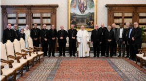 the Council members were received in audience by Pope Francis who encouraged them to continue their work