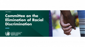 Committee on the Elimination of Racial Discrimination (CERD)