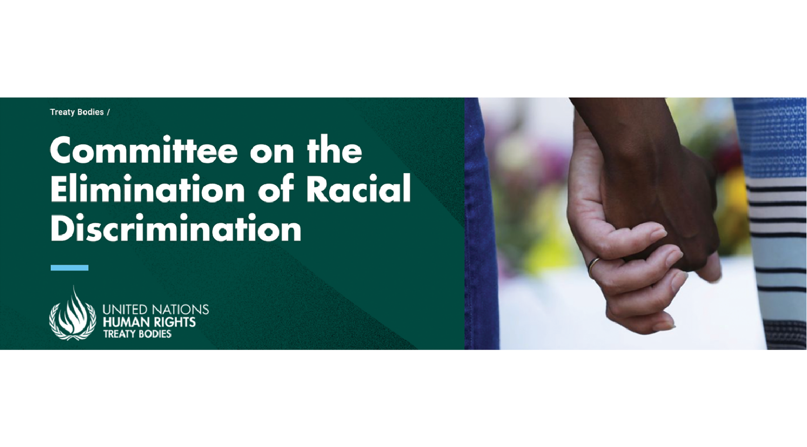 Committee on the Elimination of Racial Discrimination (CERD)