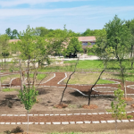 This is the eco-friendly cemetery promoted by the Archdiocese of Chicago