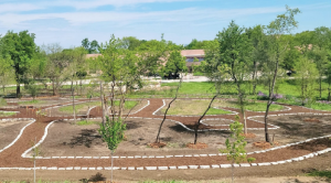 St. Michael the Archangel Cemetery in Palatine