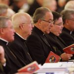 USA: bishops’ assembly: synodality, new Bible and beatification causes