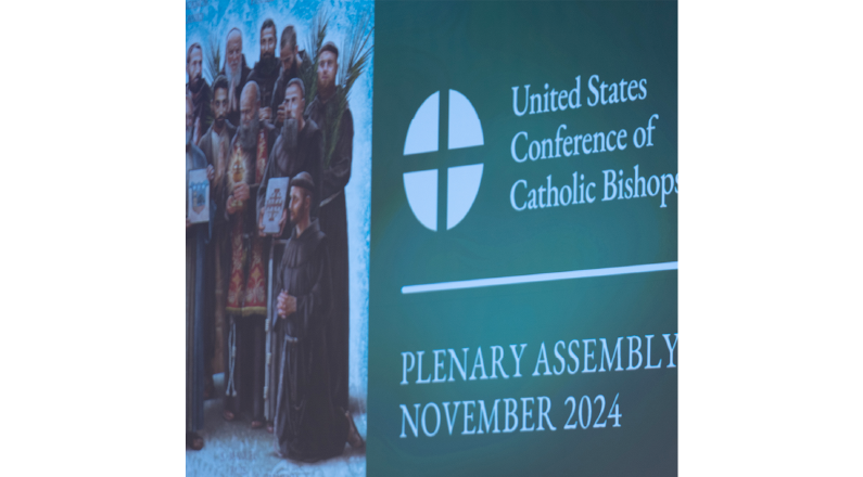 At their Fall Plenary Assembly in Baltimore, the U.S. Conference of Catholic Bishops