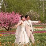 China’s Reported Marriage Surge: A Turning Point or a Mirage of Reform?