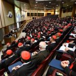 This is the controversial text (in English) on the liturgy that was given to the cardinals at the first consistory of Leo XIV