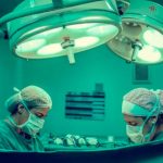 The Vatican says “yes” to animal-to-human organ transplants: here’s what a new document says