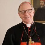 A cardinal with voting rights has spoken out against a controversial pro-gay synodal report