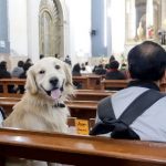They give the Eucharist to their dogs, are reported to the bishop, and the diocese issues a ruling: what was it?