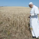 From Vatican Radio to Renewable Energy: Leo XIV Advances an Ambitious Plan for an Energy-Independent Vatican