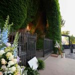Pope in Lourdes: Marian Shrine Closes Registration After Being Overwhelmed by Massive Turnout Pope in Lourdes: Marian Shrine Closes Registration After Being Overwhelmed by Massive Turnout