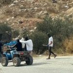 The olive trees of Taybeh, under attack by Jewish settlers: A Christian Community Fights to Preserve Its Land, Livelihood and Identity